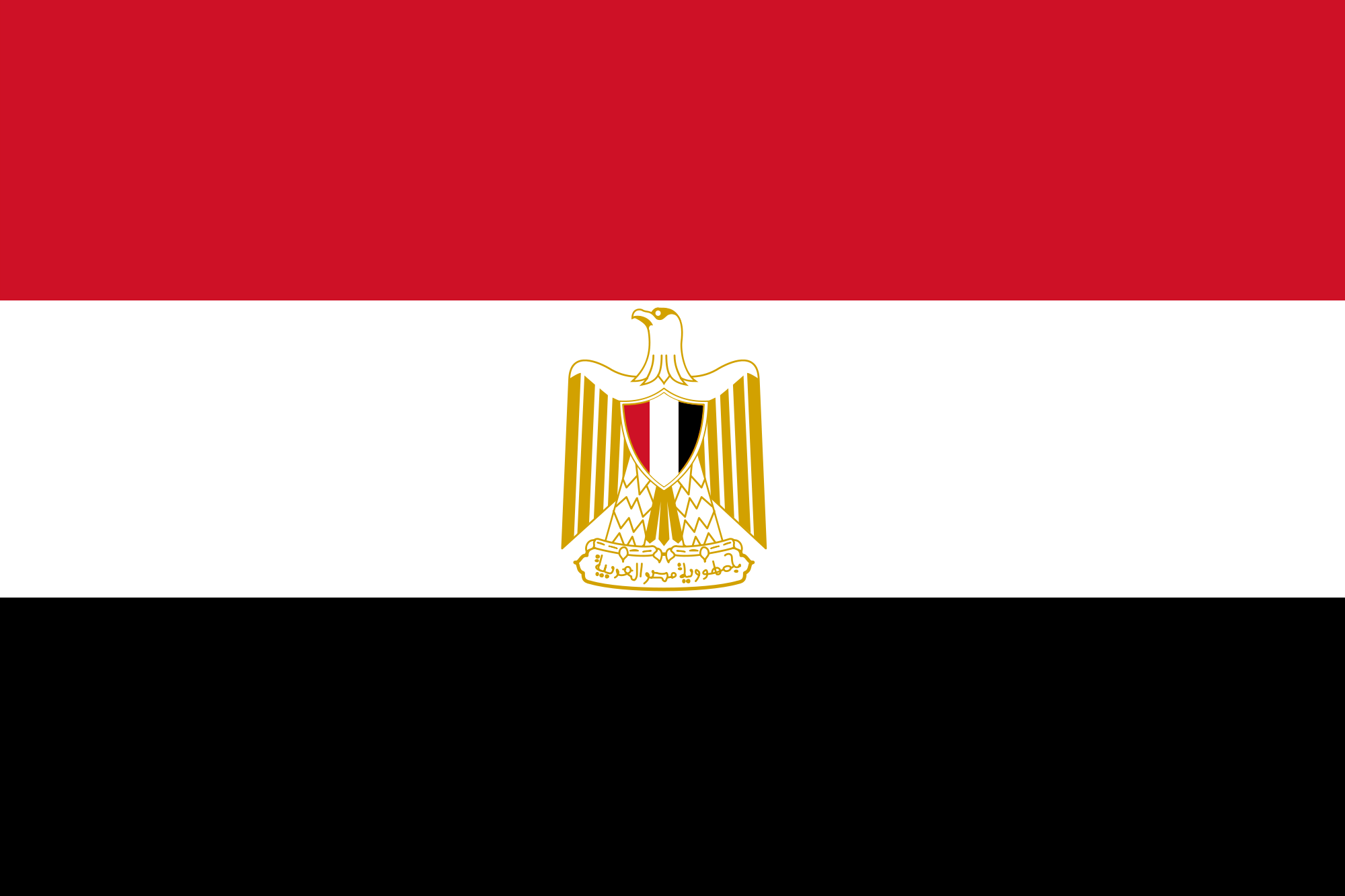 AR Flag